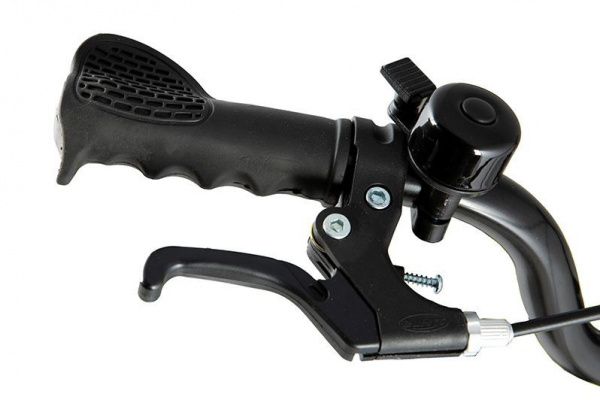 Велосипед MAXISCOO "Cosmic", Стандарт, 18" (2022)